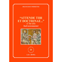 Attende tibi et doctrinae... (1 Tm 416). Studi neotestamentari