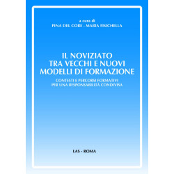 Il noviziato tra vecchi e nuovi modelli di formazione. Contesti e percorsi formativi per una responsabilità condivisa