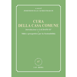 Cura della casa comune. Introduzione a Laudato si' e sfide e prospettive per la sostenibilità